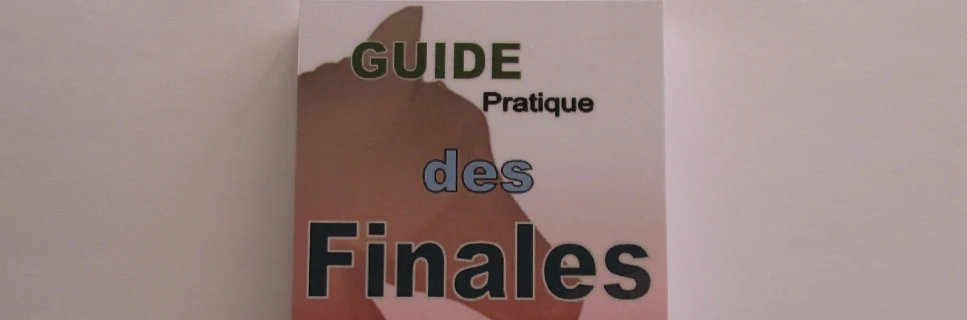 Revue et avis du guide pratique des finales de Patrick JOUHANNET du site Echecsprogress.fr